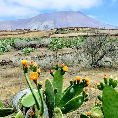 Tente de luxe Back To Nature. Luxury Glamping Corner Villaverde (Fuerteventura)