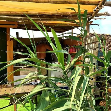 Back To Nature. Luxury Glamping Corner Luxe tent